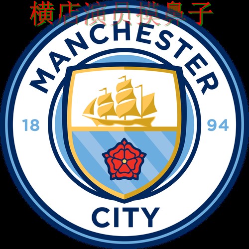世界杯投注平台合集汇总报告：平台排行+直播与实际体验总结 - World Cup 2026